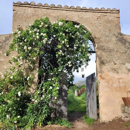 빌라 Couvent De Tuani